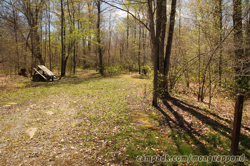 Campsite Photo of Site 70 at Mongaup Pond, New York - Looking at Site from Road Sign Visible