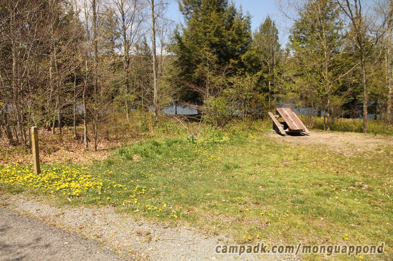 Campsite Photo of Site 85 at Mongaup Pond, New York - Looking at Site from Road Sign Visible