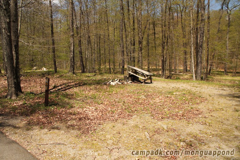Campsite Photo of Site 105 at Mongaup Pond, New York - Looking at Site from Road Sign Visible