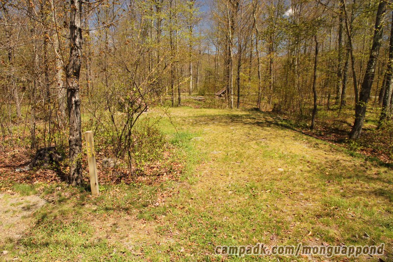 Campsite Photo of Site 125 at Mongaup Pond, New York - Looking at Site from Road Sign Visible
