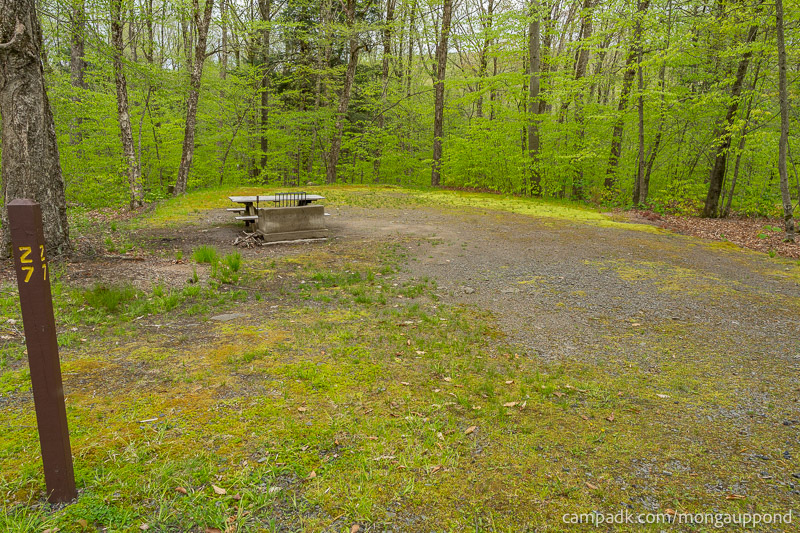 Campsite Photo of Site 27 at Mongaup Pond, New York - Looking at Site from Road Sign Visible