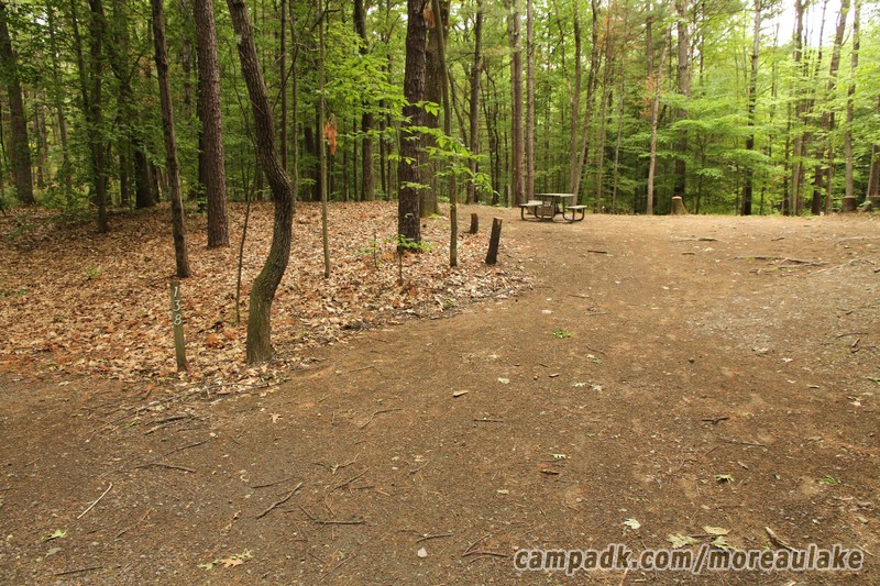 Campsite Photo of Site 138 at Moreau Lake State Park, New York - Looking at Site from Road Sign Visible