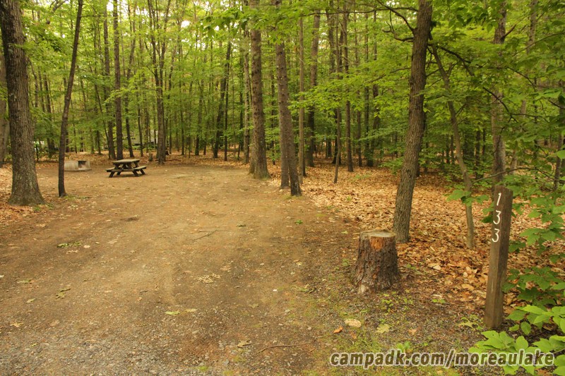 Campsite Photo of Site 133 at Moreau Lake State Park, New York - Looking at Site from Road Sign Visible