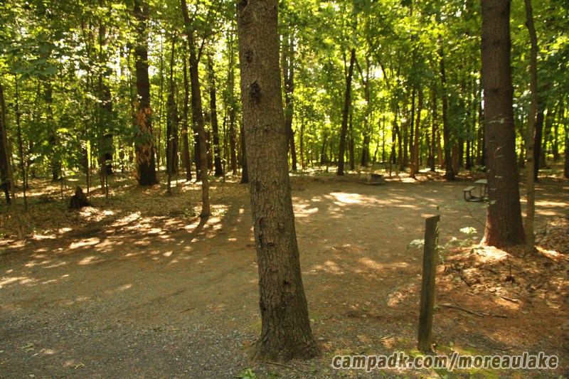 Campsite Photo of Site 85 at Moreau Lake State Park, New York - Looking at Site from Road Sign Visible