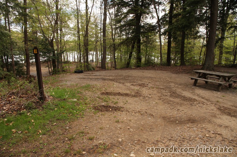 Campsite Photo of Site 81 at Nicks Lake Campground, New York - Looking at Site from Road Sign Visible