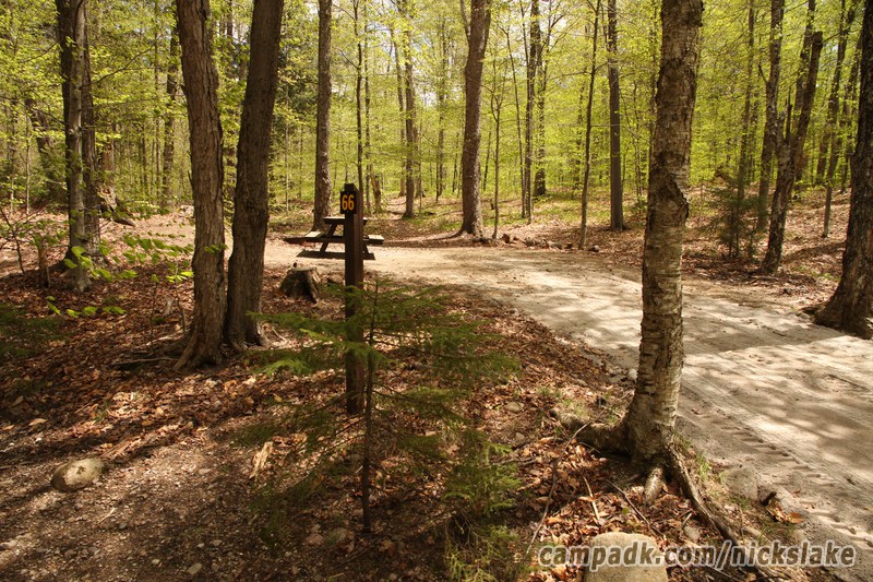 Campsite Photo of Site 66 at Nicks Lake Campground, New York - Looking at Site from Road Sign Visible