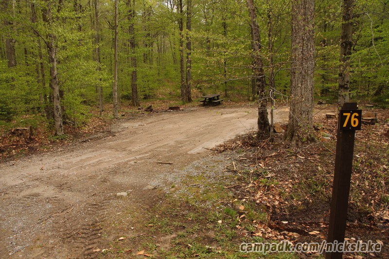Campsite Photo of Site 76 at Nicks Lake Campground, New York - Looking at Site from Road Sign Visible