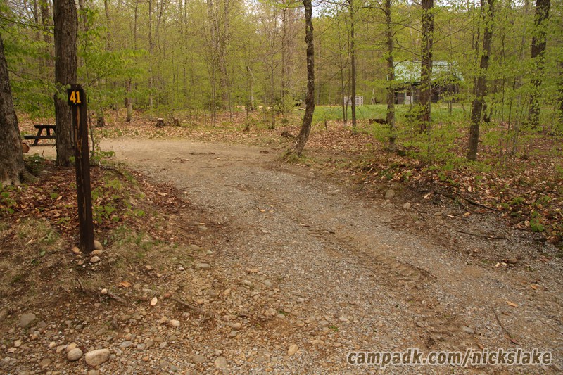 Campsite Photo of Site 41 at Nicks Lake Campground, New York - Looking at Site from Road Sign Visible