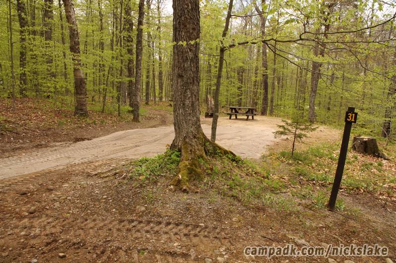 Campsite Photo of Site 31 at Nicks Lake Campground, New York - Looking at Site from Road Sign Visible
