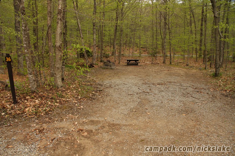 Campsite Photo of Site 36 at Nicks Lake Campground, New York - Looking at Site from Road Sign Visible