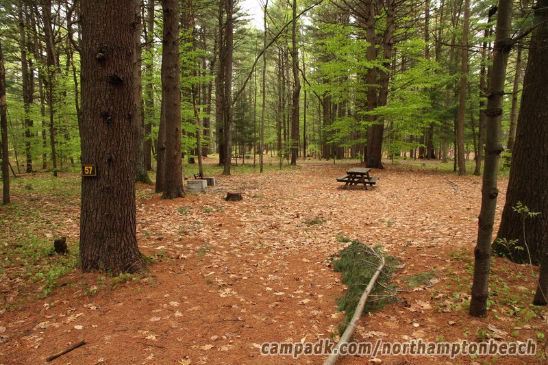 Campsite Photo of Site 57 at Northampton Beach Campground, New York - Looking at Site from Road Sign Visible