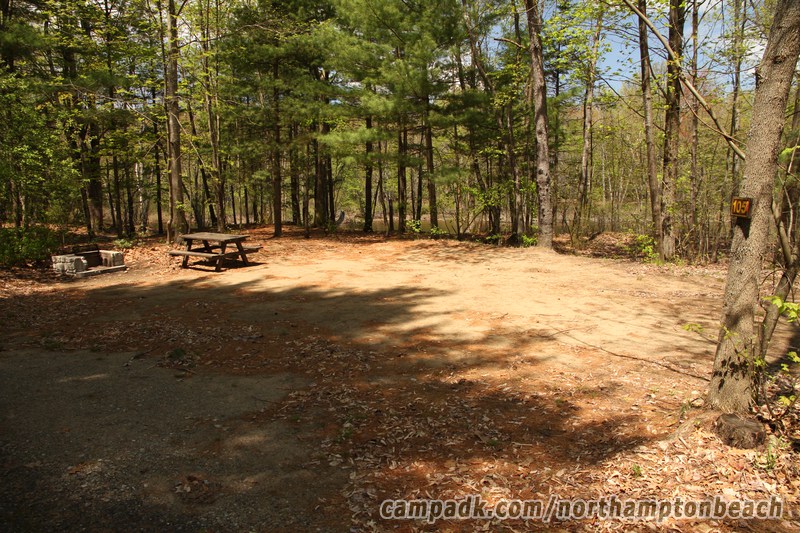 Campsite Photo of Site 105 at Northampton Beach Campground, New York - Looking at Site from Road Sign Visible