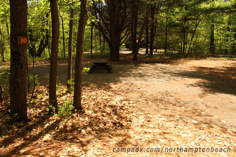 Campsite Photo of Site 80 at Northampton Beach Campground, New York - Looking at Site from Road Sign Visible