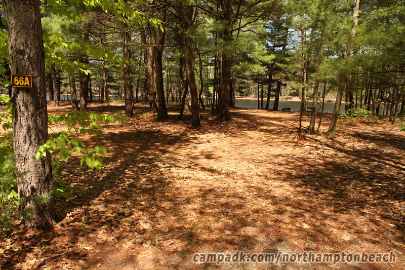 Campsite Photo of Site 66A at Northampton Beach Campground, New York - Looking at Site from Road Sign Visible