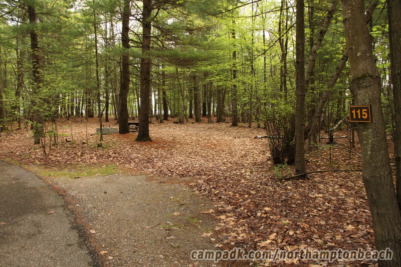Campsite Photo of Site 115 at Northampton Beach Campground, New York - Looking at Site from Road Sign Visible