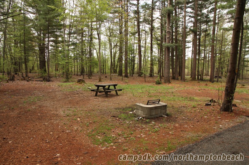 Campsite Photo of Site 131 at Northampton Beach Campground, New York - Looking at Site from Road Sign Visible