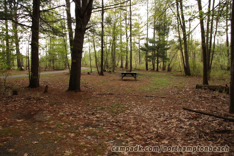 Campsite Photo of Site 125 at Northampton Beach Campground, New York - Looking at Site from Road Sign Visible