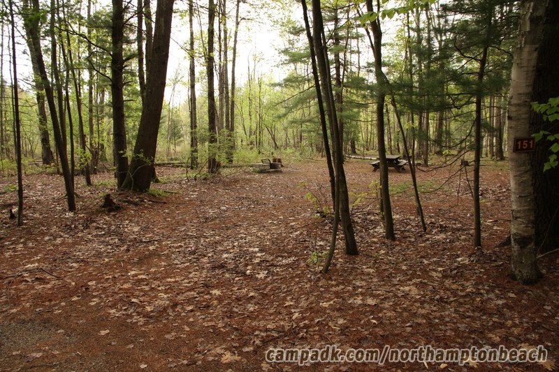 Campsite Photo of Site 151 at Northampton Beach Campground, New York - Looking at Site from Road Sign Visible