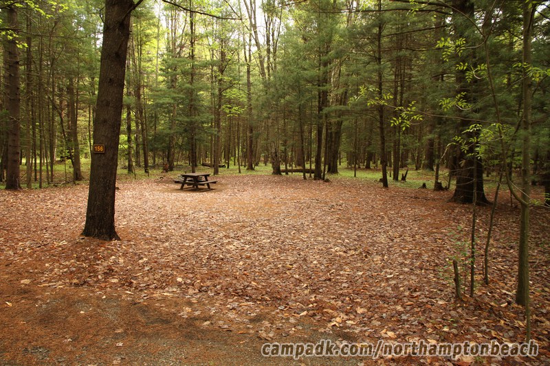 Campsite Photo of Site 156 at Northampton Beach Campground, New York - Looking at Site from Road
