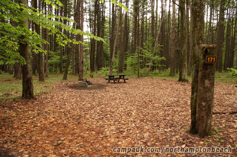 Campsite Photo of Site 171 at Northampton Beach Campground, New York - Looking at Site from Road Sign Visible