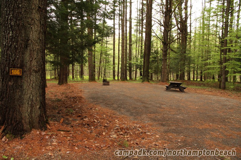 Campsite Photo of Site 186 at Northampton Beach Campground, New York - Looking at Site from Road Sign Visible
