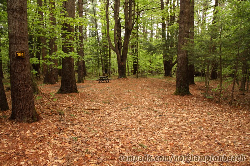 Campsite Photo of Site 191 at Northampton Beach Campground, New York - Looking at Site from Road Sign Visible