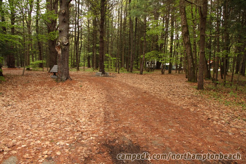 Campsite Photo of Site 196 at Northampton Beach Campground, New York - Looking at Site from Road Sign Visible