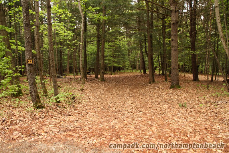 Campsite Photo of Site 22 at Northampton Beach Campground, New York - Looking at Site from Road Sign Visible