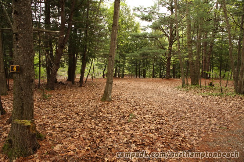 Campsite Photo of Site 6 at Northampton Beach Campground, New York - Looking at Site from Road Sign Visible