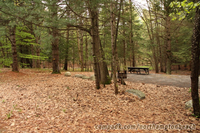 Campsite Photo of Site 17 at Northampton Beach Campground, New York - Looking at Site from Road Sign Visible