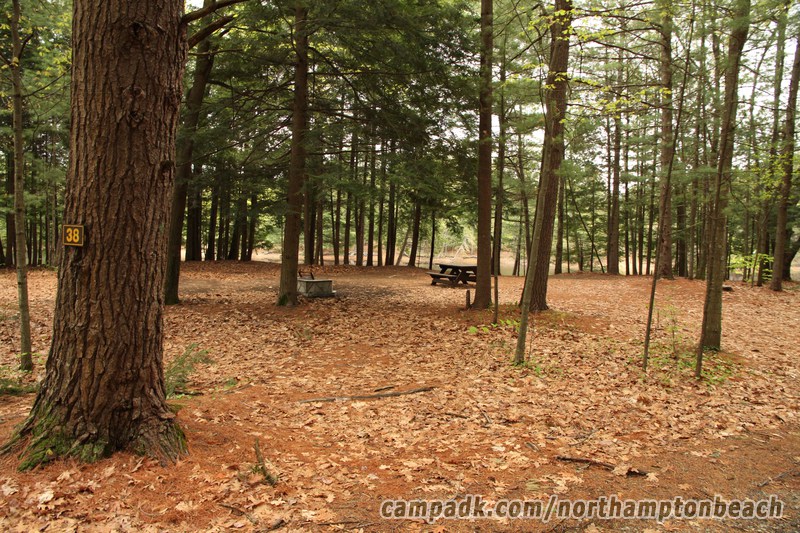 Campsite Photo of Site 38 at Northampton Beach Campground, New York - Looking at Site from Road Sign Visible