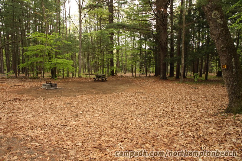 Campsite Photo of Site 48 at Northampton Beach Campground, New York - Looking at Site from Road Sign Visible