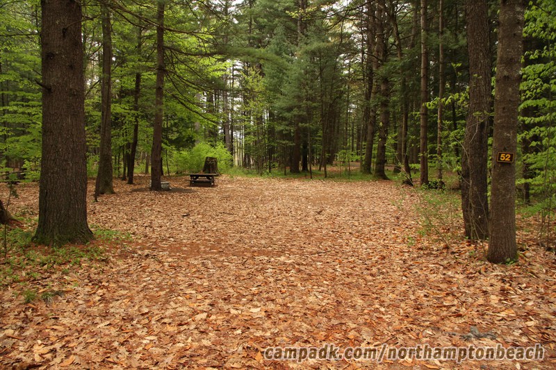 Campsite Photo of Site 52 at Northampton Beach Campground, New York - Looking at Site from Road Sign Visible