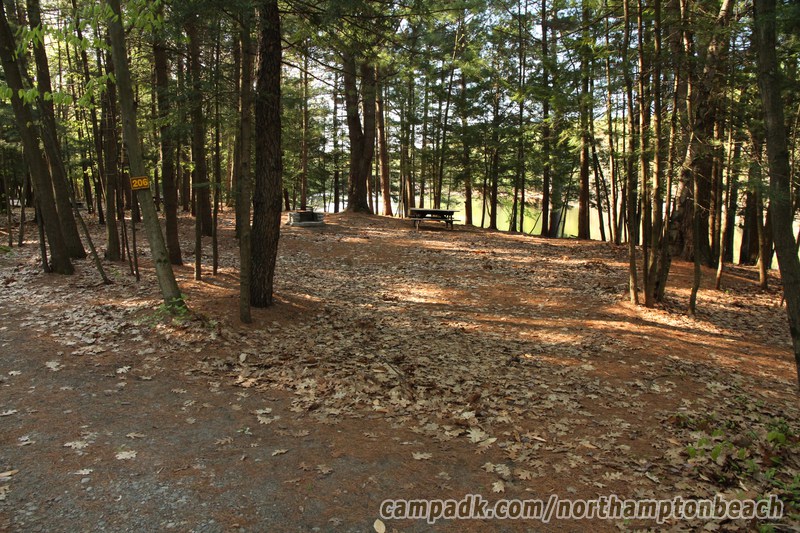 Campsite Photo of Site 206 at Northampton Beach Campground, New York - Looking at Site from Road Sign Visible