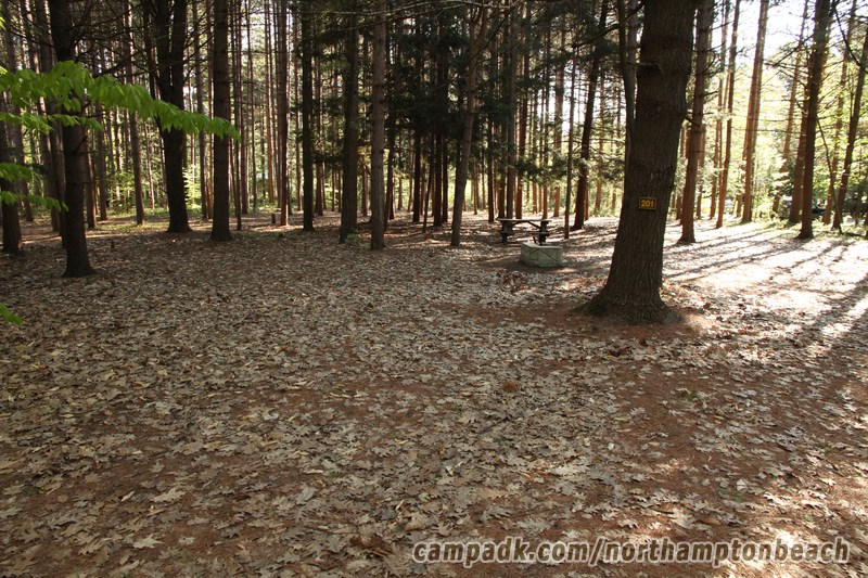 Campsite Photo of Site 201 at Northampton Beach Campground, New York - Looking at Site from Road Sign Visible