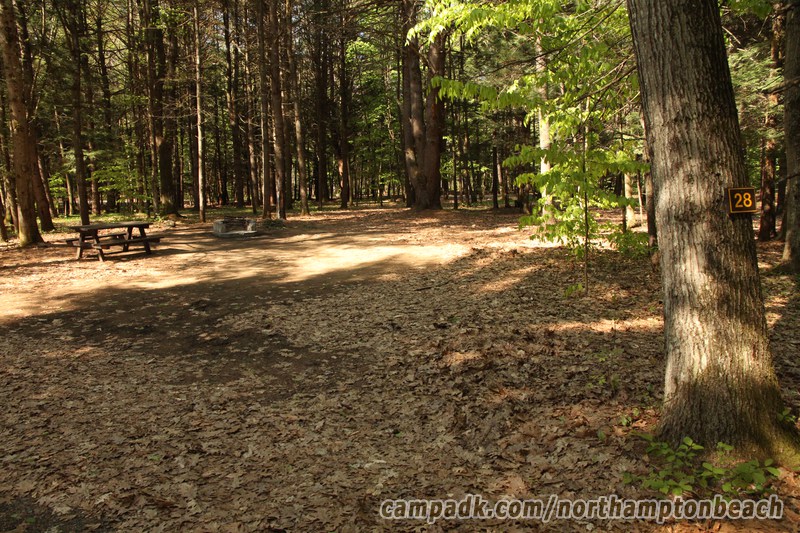 Campsite Photo of Site 28 at Northampton Beach Campground, New York - Looking at Site from Road Sign Visible