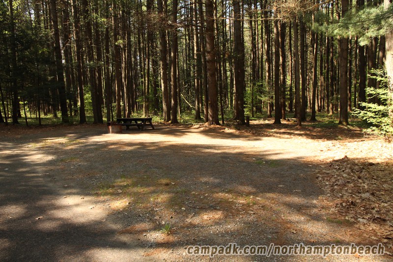 Campsite Photo of Site 166 at Northampton Beach Campground, New York - Looking at Site from Road Sign Visible