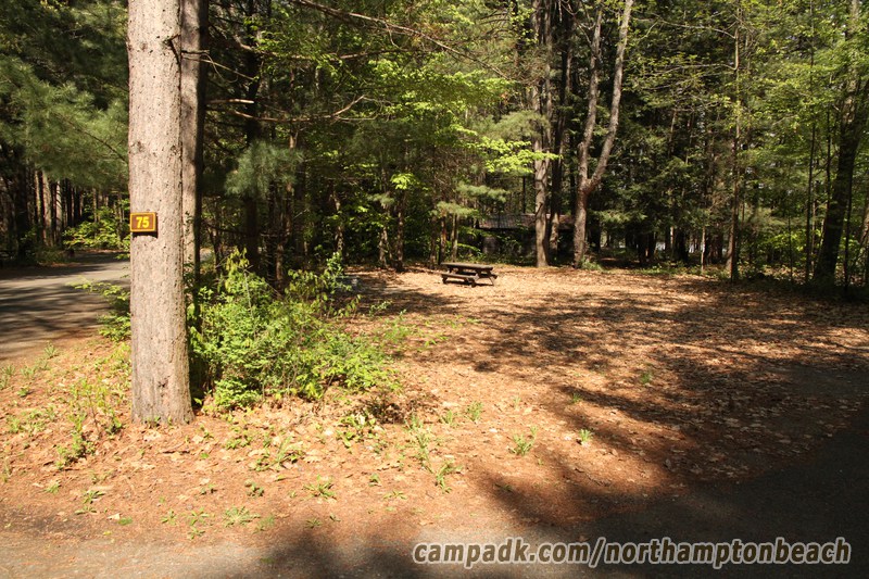 Campsite Photo of Site 75 at Northampton Beach Campground, New York - Looking at Site from Road Sign Visible
