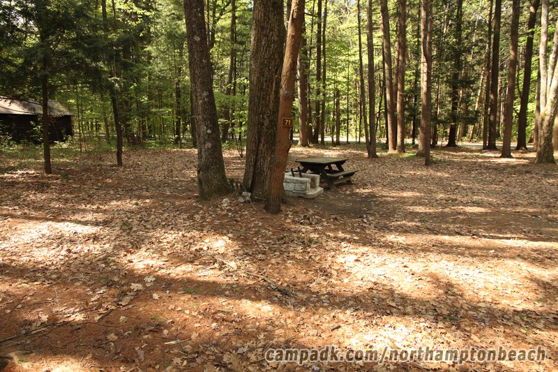 Campsite Photo of Site 71 at Northampton Beach Campground, New York - Looking at Site from Road Sign Visible