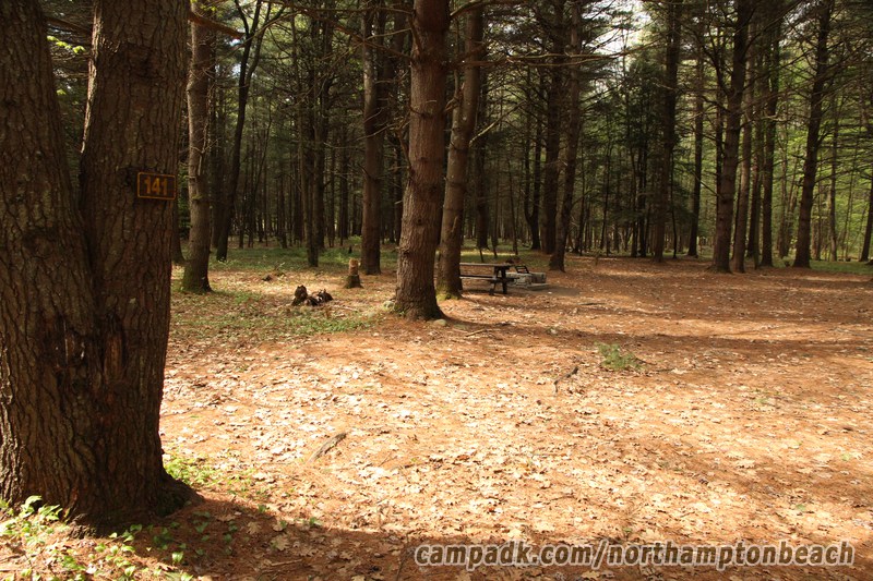 Campsite Photo of Site 141 at Northampton Beach Campground, New York - Looking at Site from Road Sign Visible