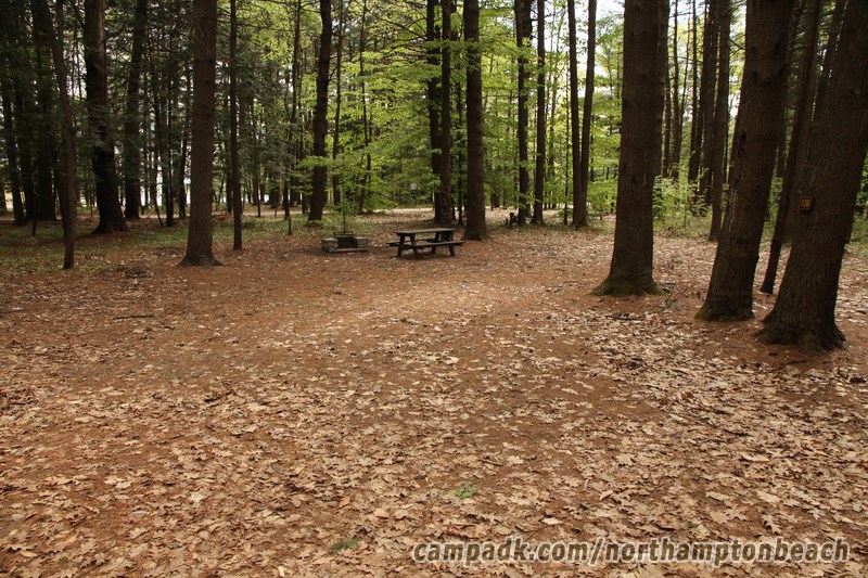 Campsite Photo of Site 136 at Northampton Beach Campground, New York - Looking at Site from Road Sign Visible