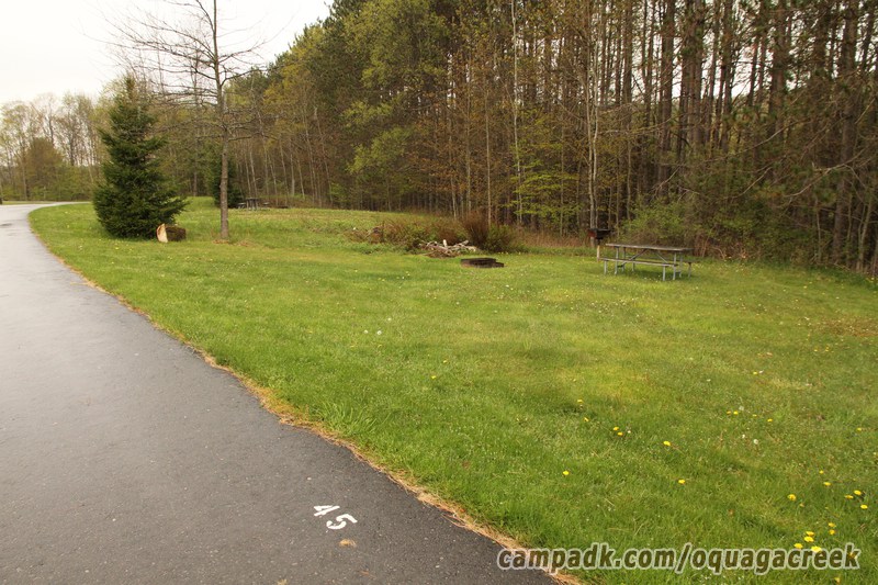 Campsite Photo of Site 45 at Oquaga Creek State Park, New York - Looking at Site from Road Sign Visible