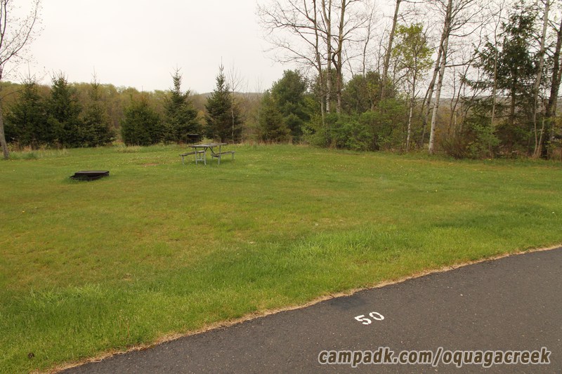 Campsite Photo of Site 50 at Oquaga Creek State Park, New York - View Down Road from Campsite