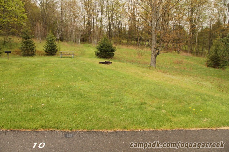 Campsite Photo of Site 10 at Oquaga Creek State Park, New York - Looking at Site from Road Sign Visible