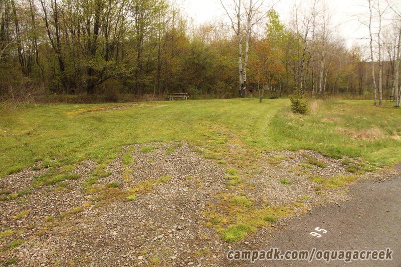 Campsite Photo of Site 95 at Oquaga Creek State Park, New York - Looking at Site from Road Sign Visible