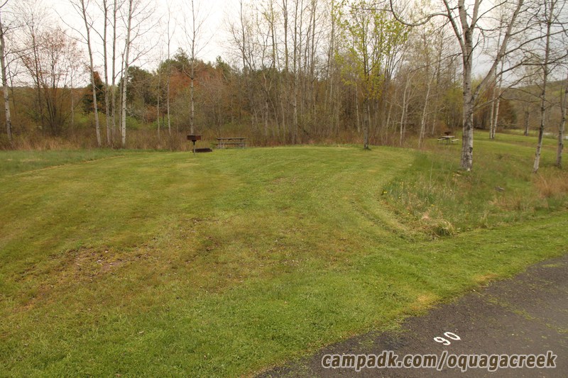 Campsite Photo of Site 90 at Oquaga Creek State Park, New York - Looking at Site from Road Sign Visible