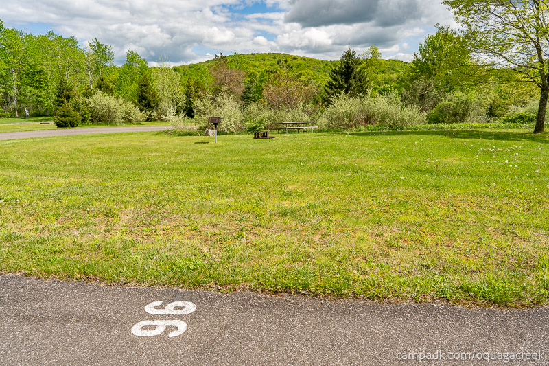 Campsite Photo of Site 96 at Oquaga Creek State Park, New York - Looking at Site from Road Sign Visible