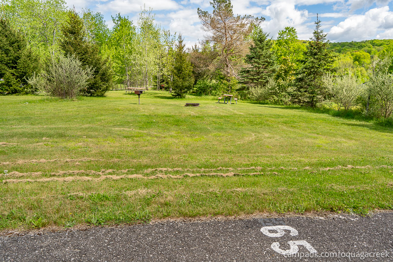 Campsite Photo of Site 65 at Oquaga Creek State Park, New York - Looking at Site from Road Sign Visible