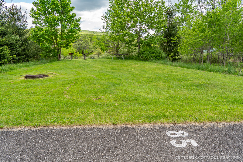 Campsite Photo of Site 85 at Oquaga Creek State Park, New York - Looking at Site from Road Sign Visible