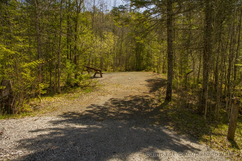 Campsite Photo of Site 5 at Paradox Lake Campground, New York - Looking at Site from Road Sign Visible